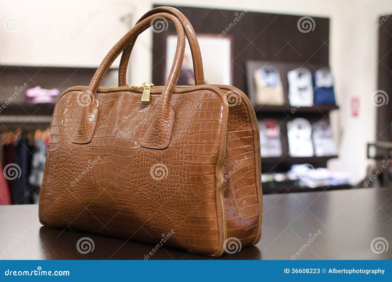 Frauenhandtasche stockbild. Bild von kühl, hoch, regal - 36608223