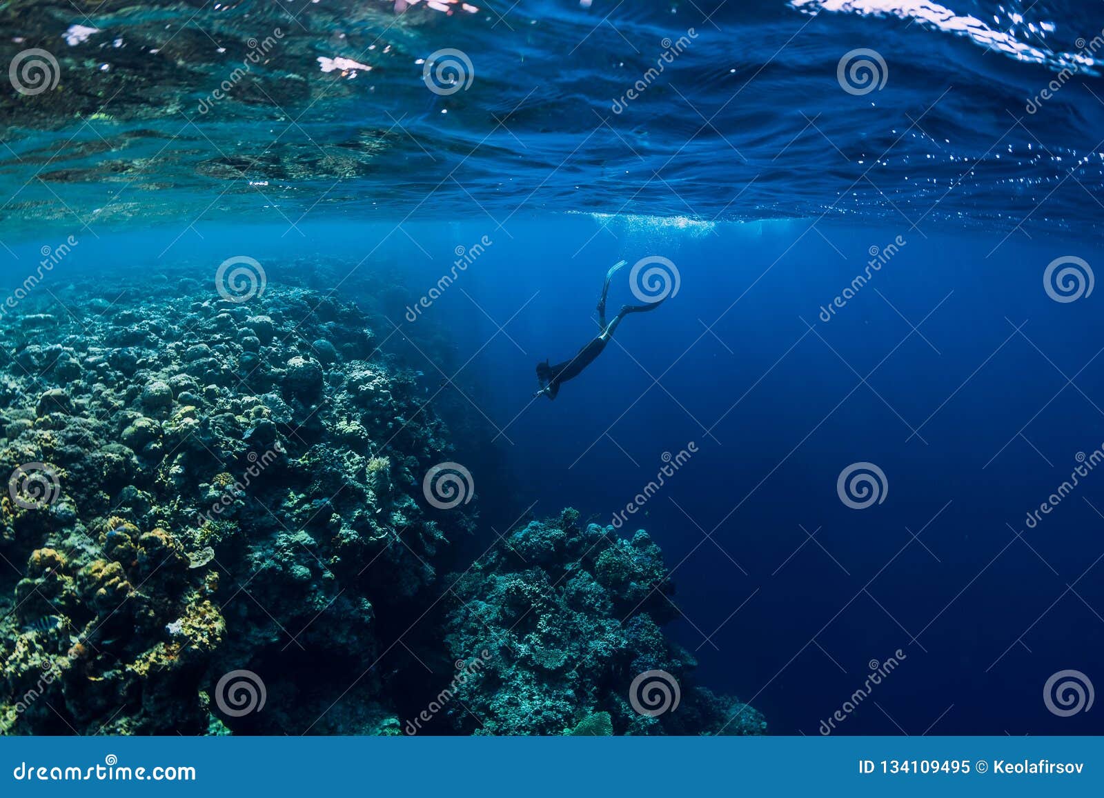 10,611 Free Underwater Stock Photos - Free & Royalty-Free Stock Photos from  Dreamstime