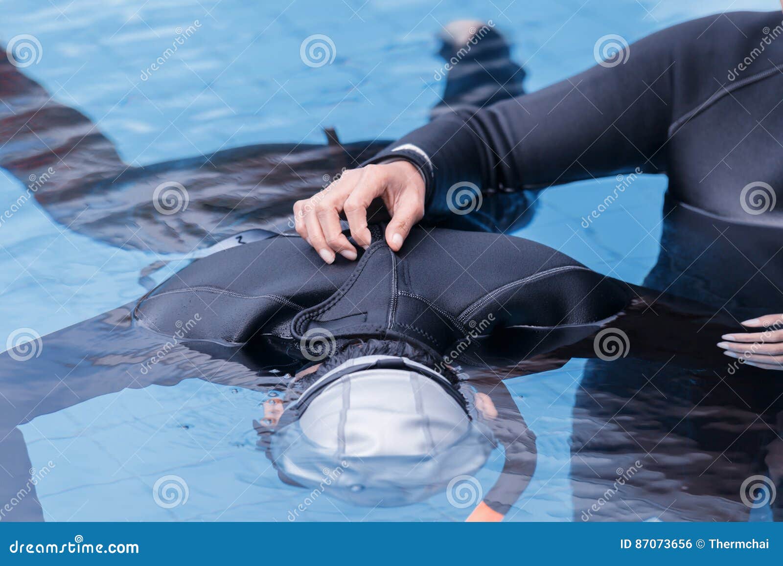 Free Diving Training on Swimming Pool Stock Photo Image of sport
