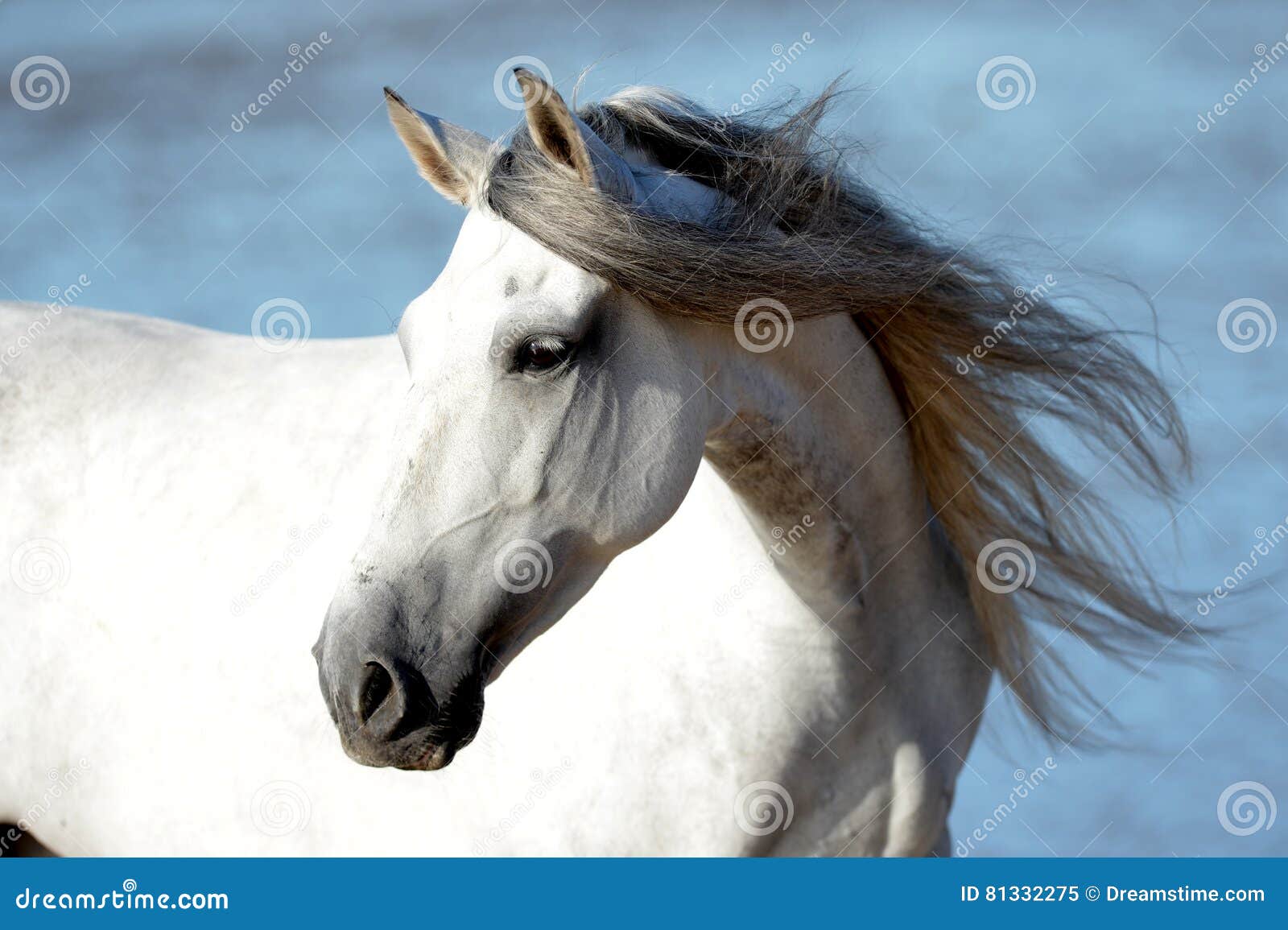Wednesday In Spanish Arrow With Beach Background Stock Photo, Picture and Royalty Free Image. Image 49125471.