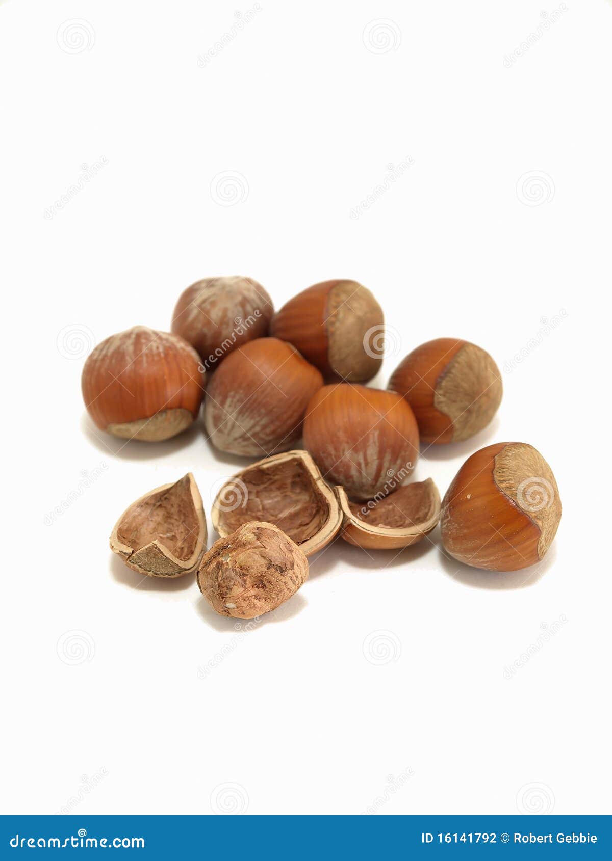 Free Filberts stock photo. Image of free, brown, shell 16141792