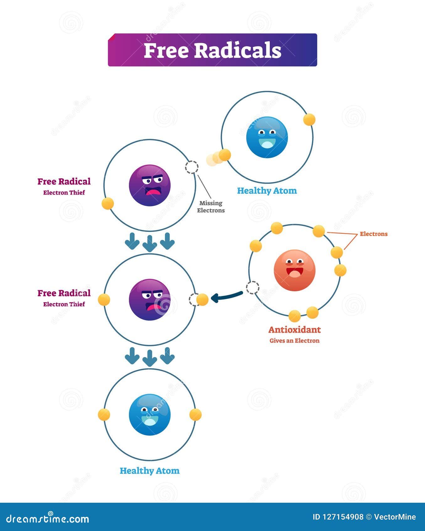 free radicals, antioxidant and healthy atom explanation   diagram