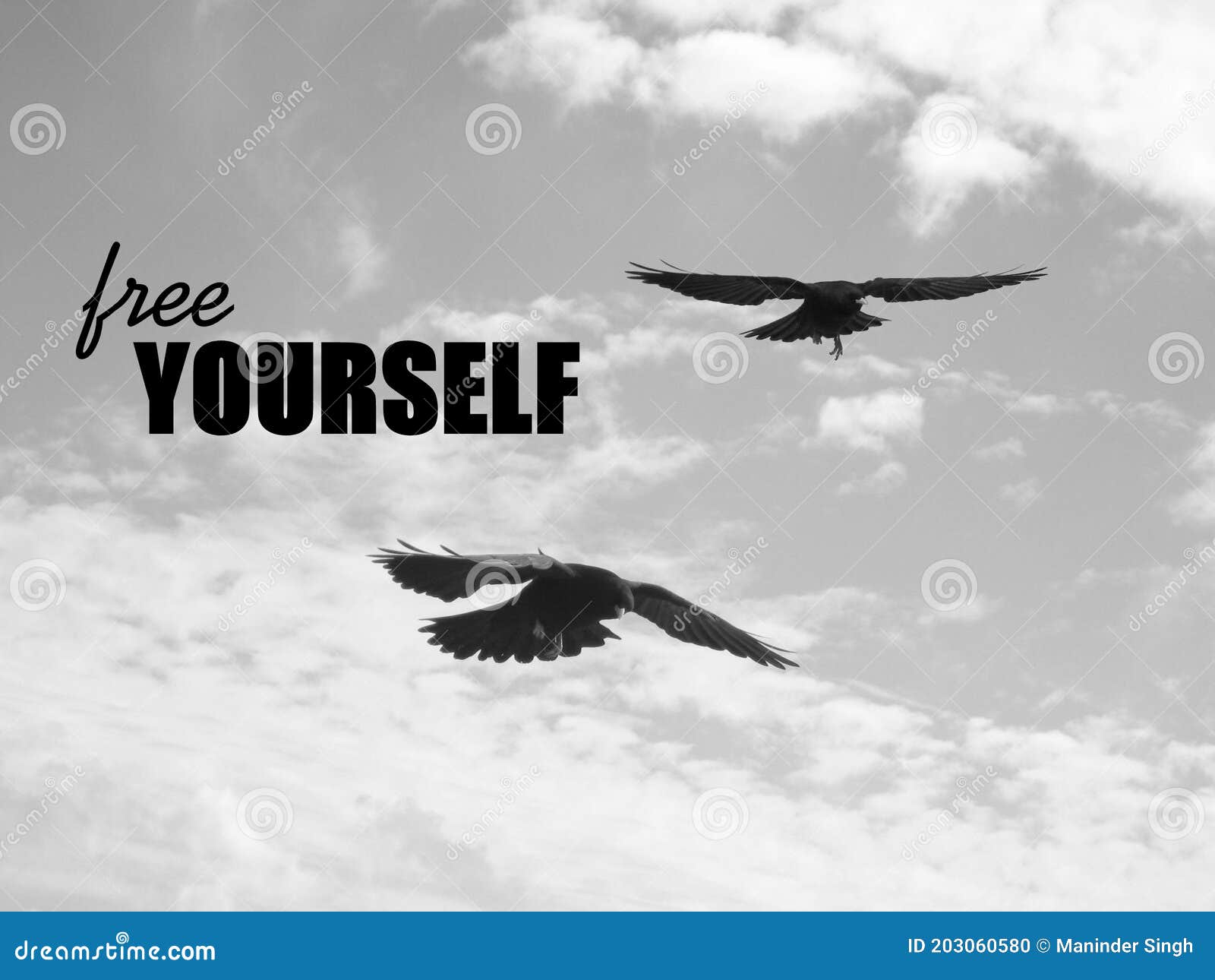 Free Yourself. Inspirational Quote about Happy Stock Photo - Image