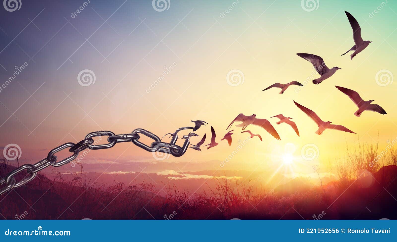 freedom - chains that transform into birds
