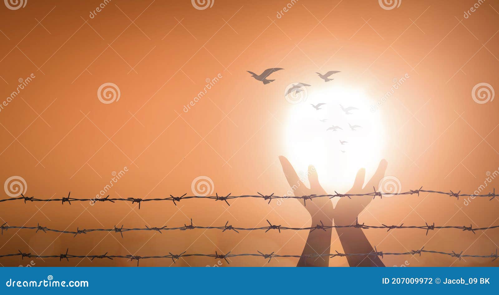 prayer praise god and birds flying with barbed wire