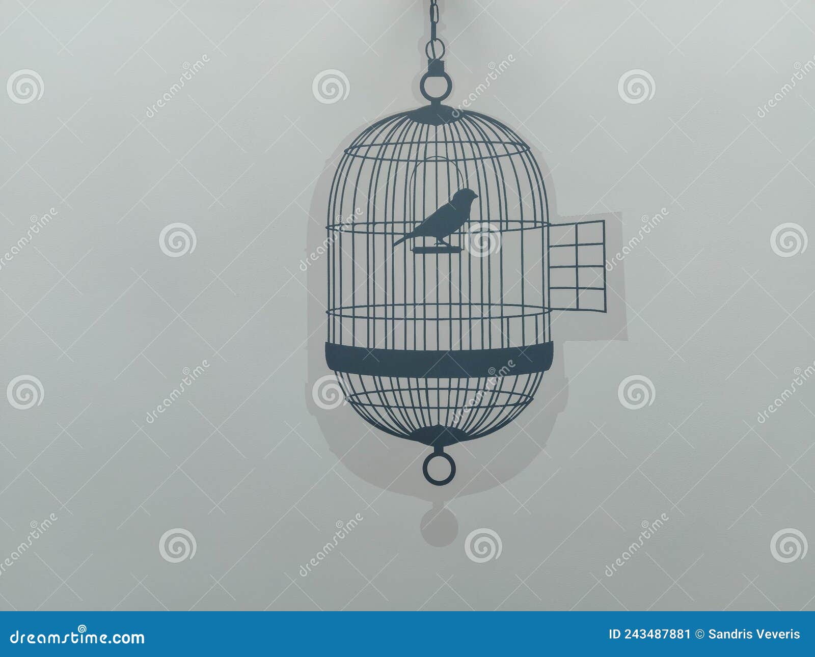Freedom Minimal Concept, Bird in an Open Cage Stock Image - Image of ...