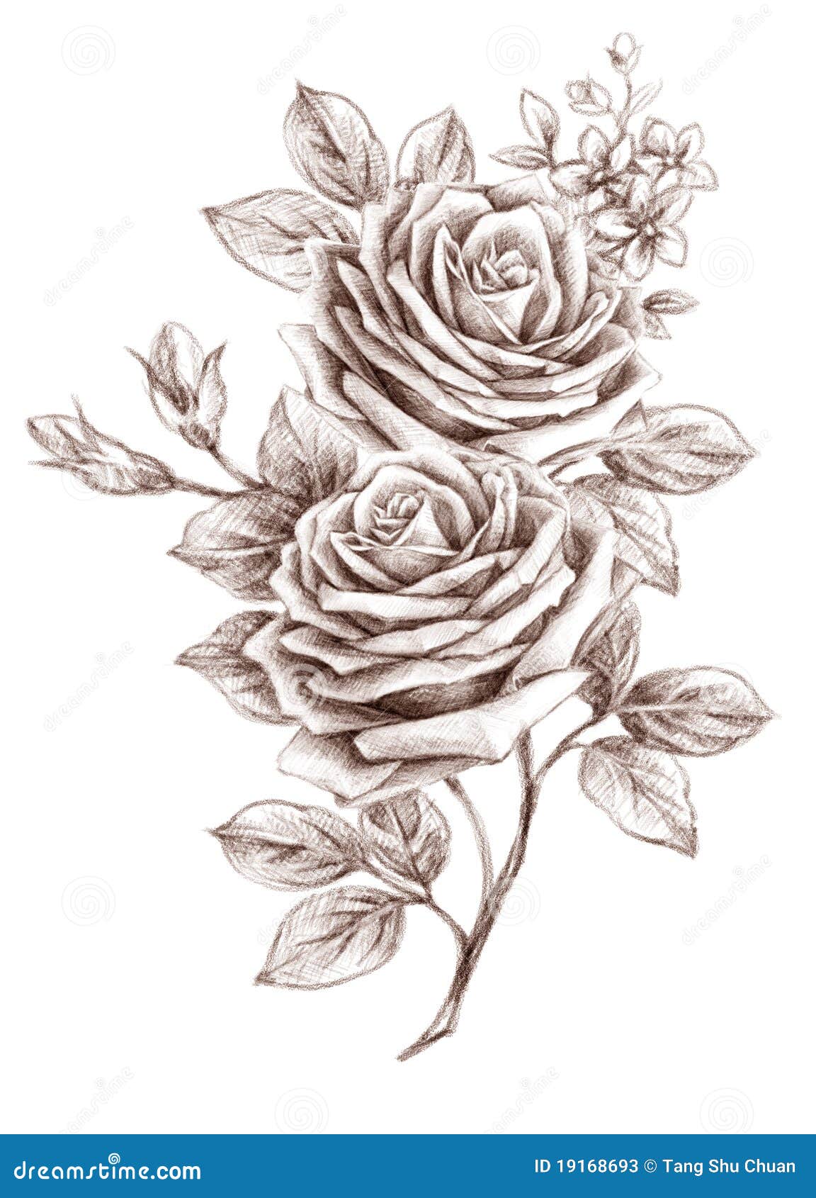 freehand drawing rose 01