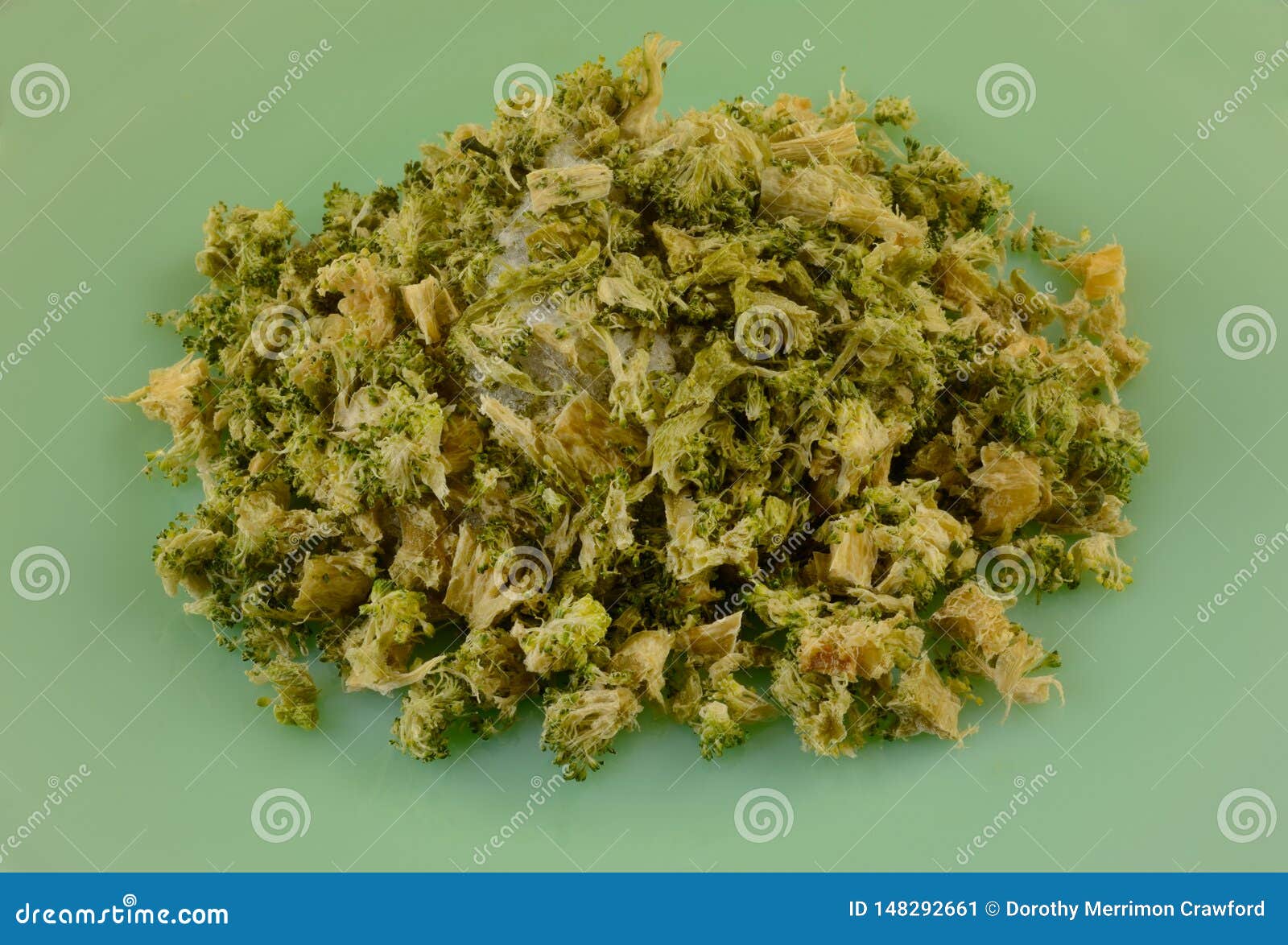 Freezer Burned Broccoli Florets Stock Image Image of damaged, frozen