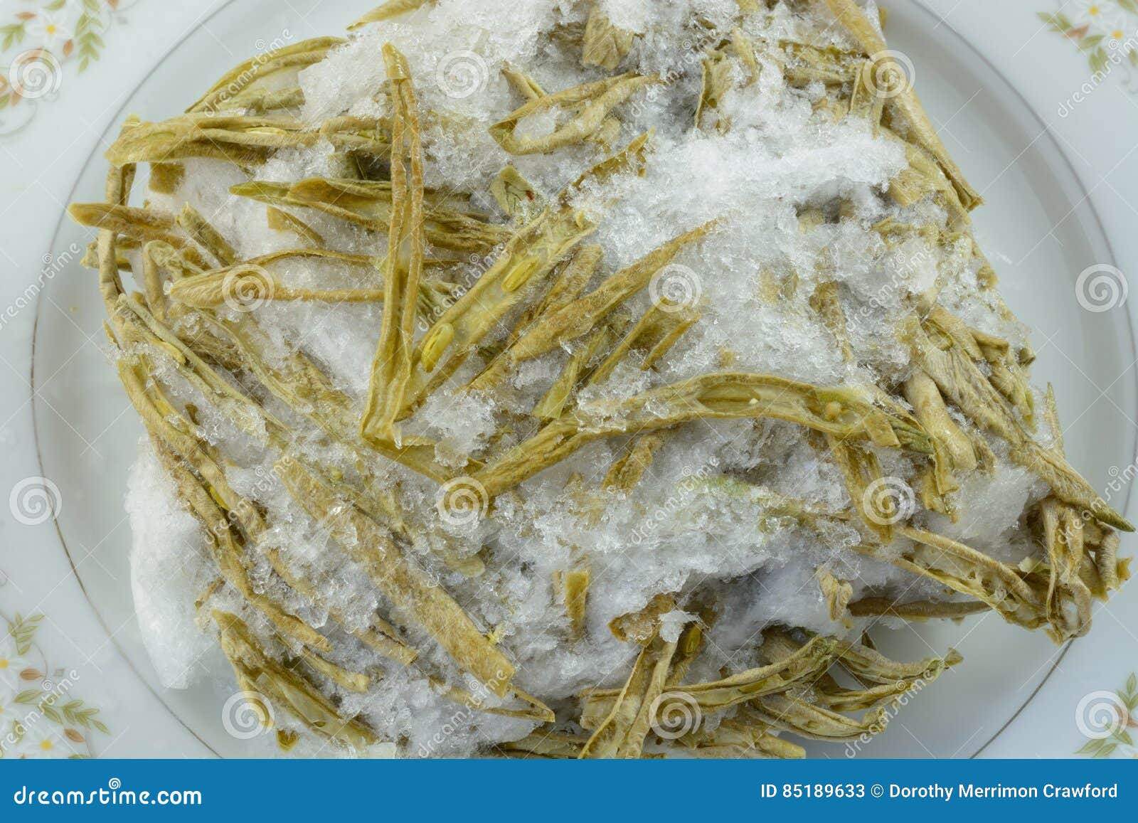 Freezer Burned French Style Cut Green Beans Stock Image Image of time
