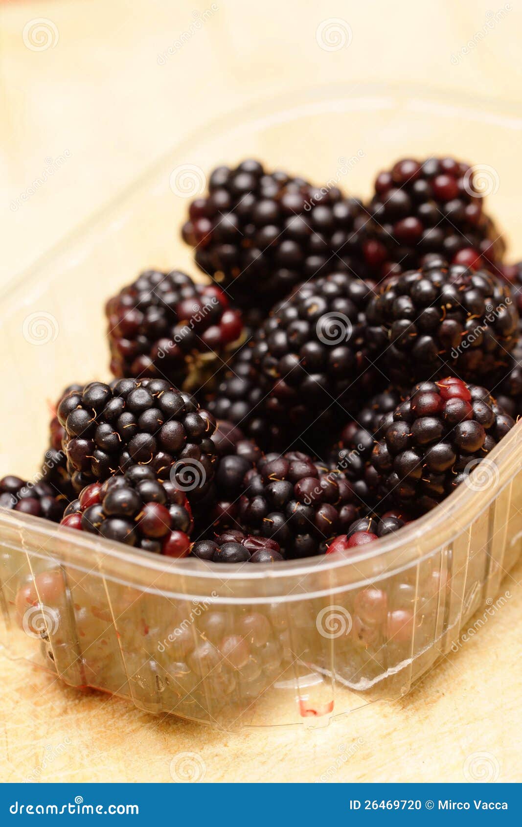 Freh brambles stock photo. Image of fresh, healthy, blackberry 26469720