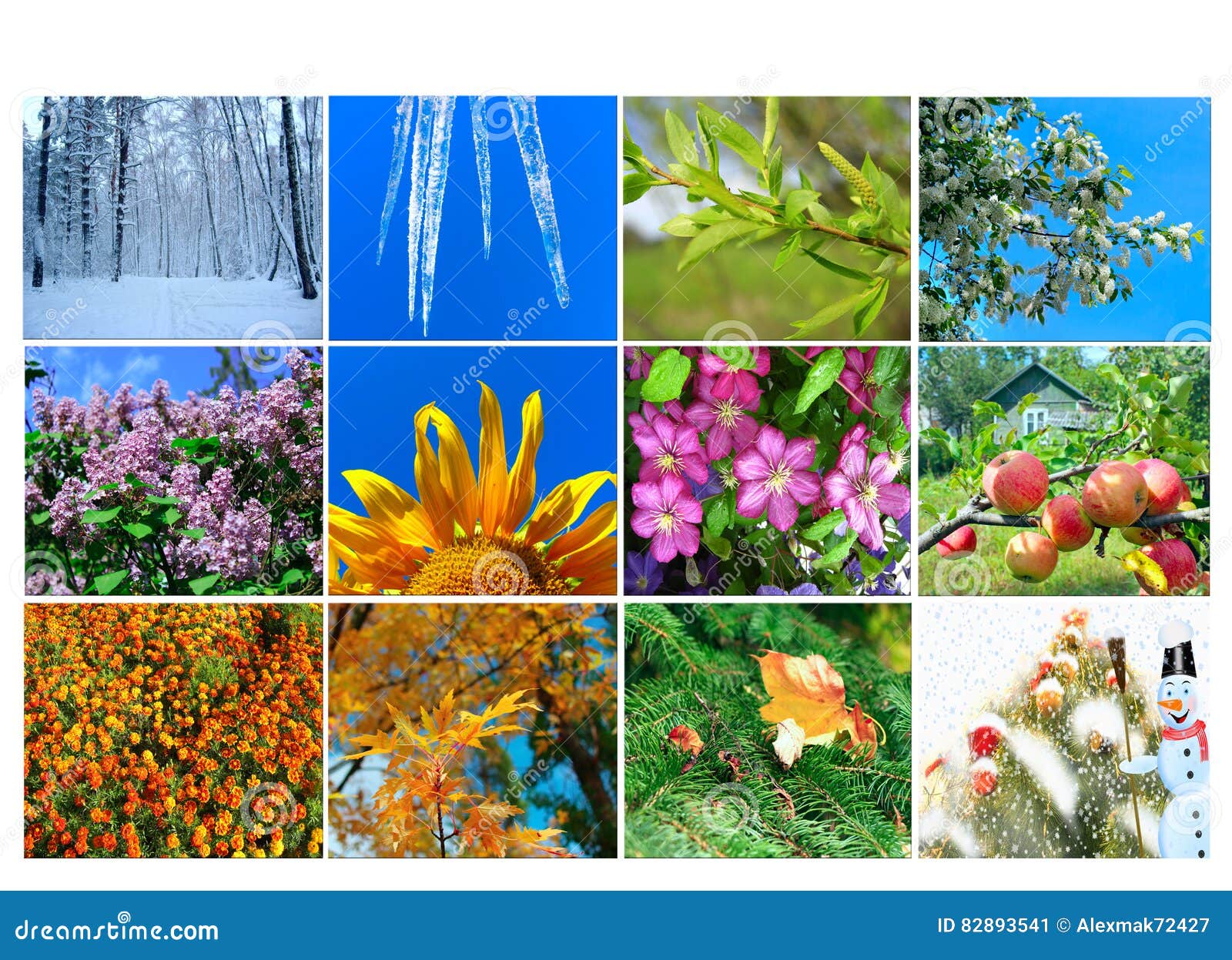 Freier Raum Mit Zwolf Farbte Bilder Der Natur Fur Kalender Stockbild Bild Von Farbte Fur 3541