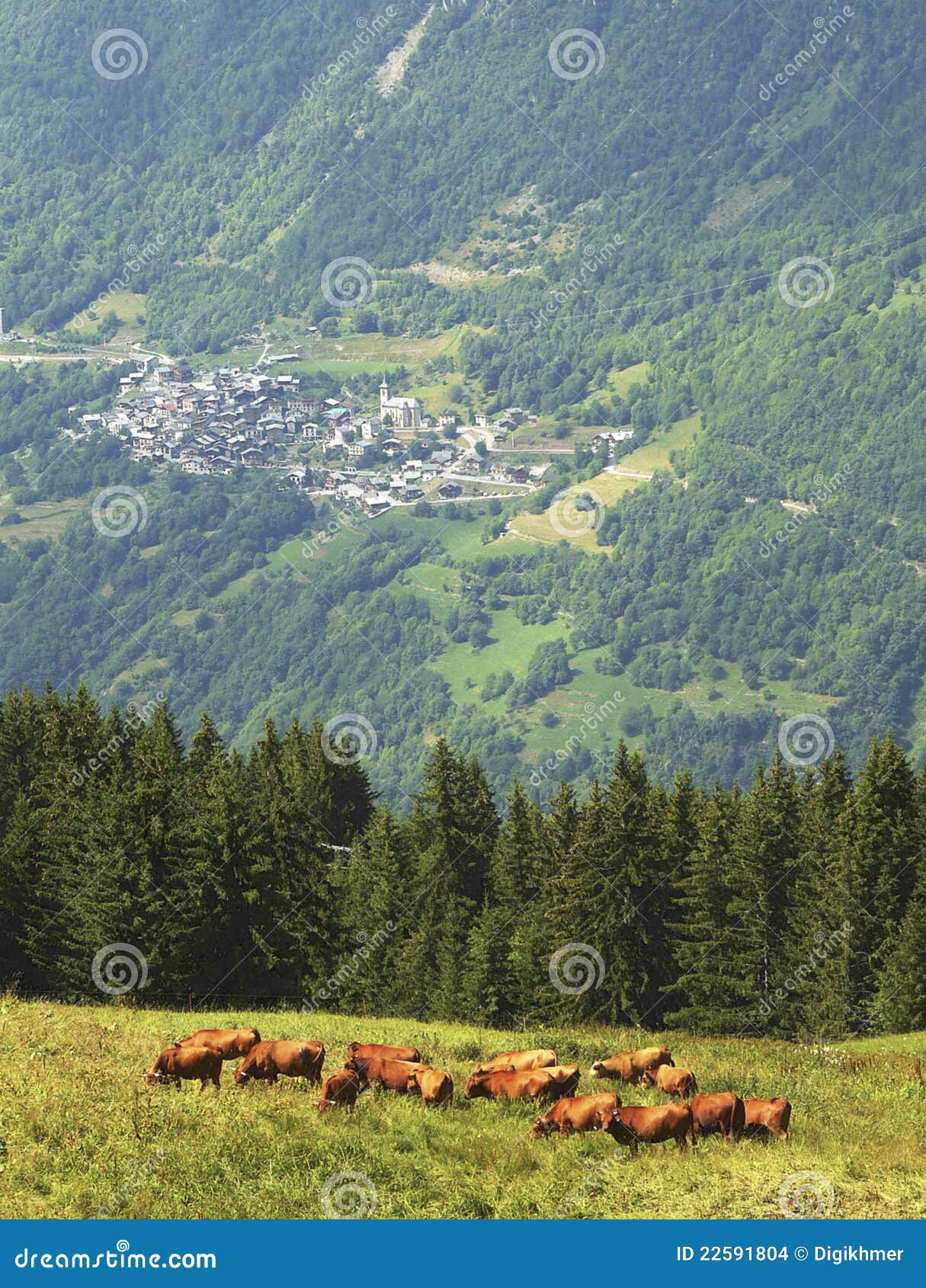 French Alpine Village stock photo. Image of posh, holiday 22591804