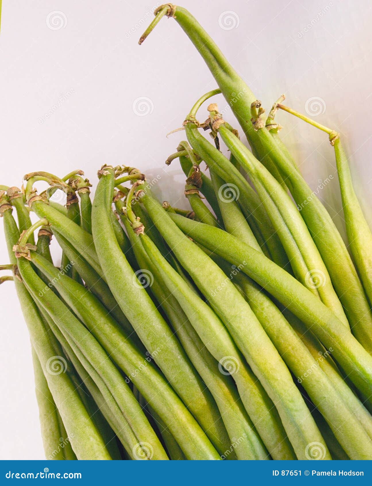 Dwarf French Bean Or Common Bean Faraday, Phaseolus Vulgaris, Top View Of Young Plant Growing In