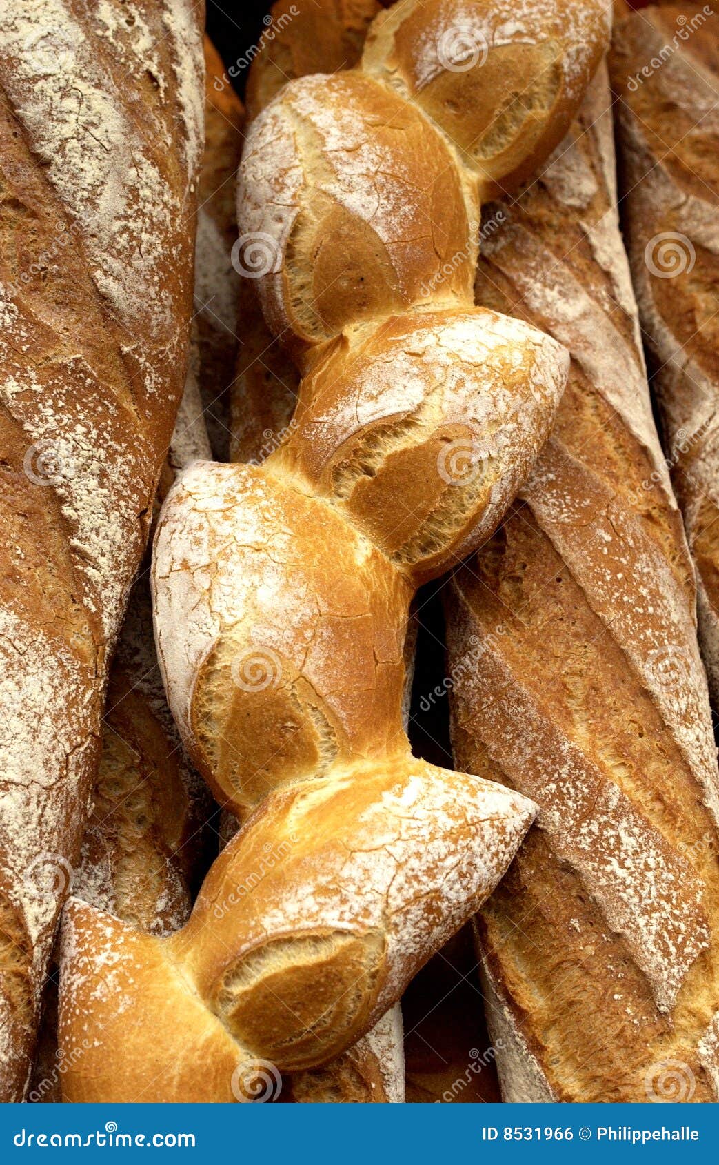 French breads stock photo. Image of quality, store, bakers 8531966