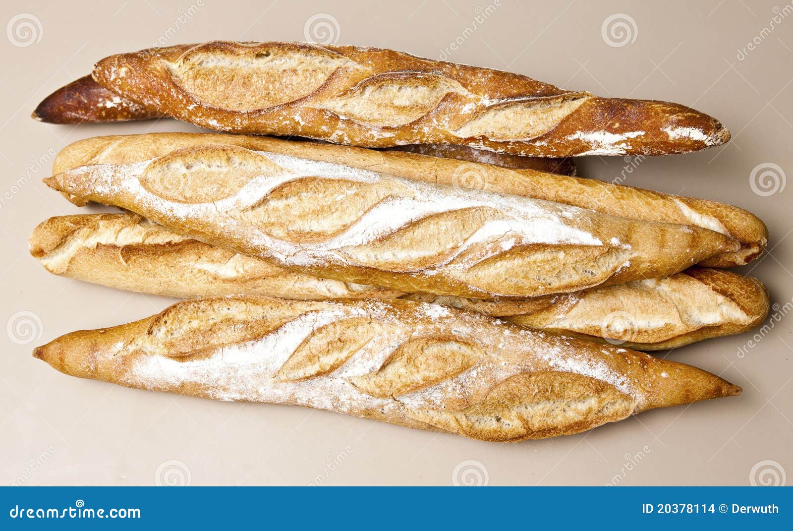 French bred stock photo. Image of eating, full, healthy - 20378114