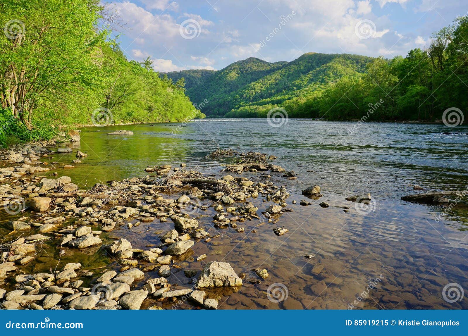 french broad river in appalachian mountains near hot springs north carolina