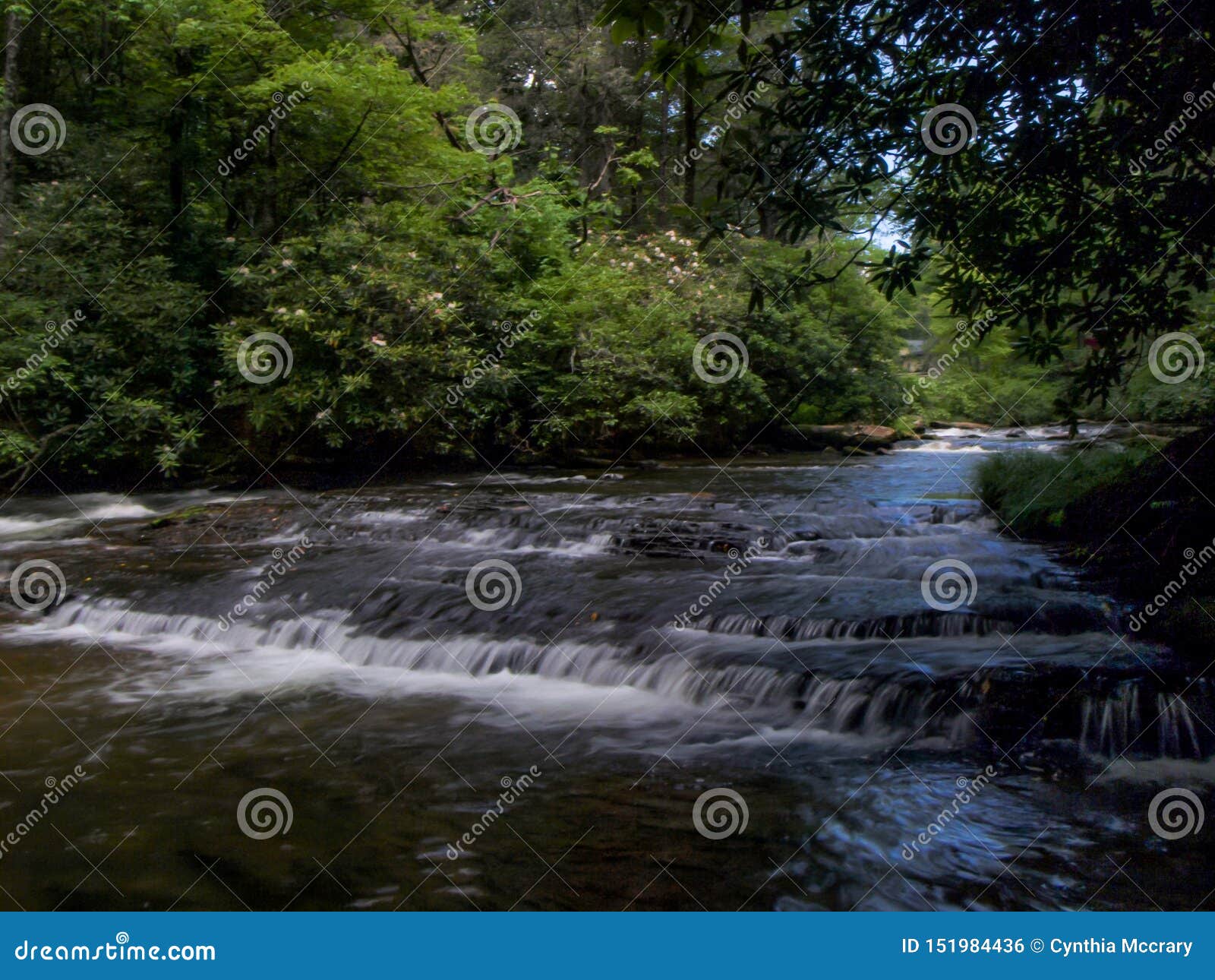 919 Brevard Photos Free Royalty Free Stock Photos From Dreamstime