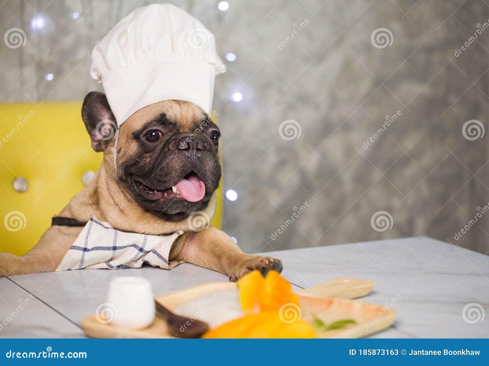 French Bulldog in Chef`s Hat Cooking at Kitchen Stock Image - Image of ...