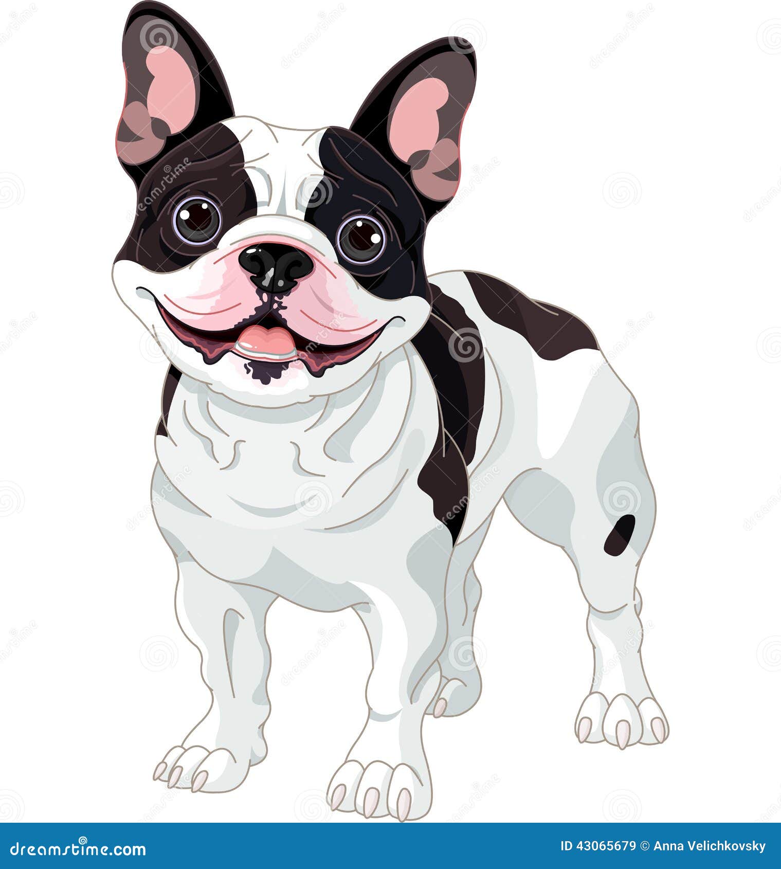 French bulldog stock vector. Illustration of isolated