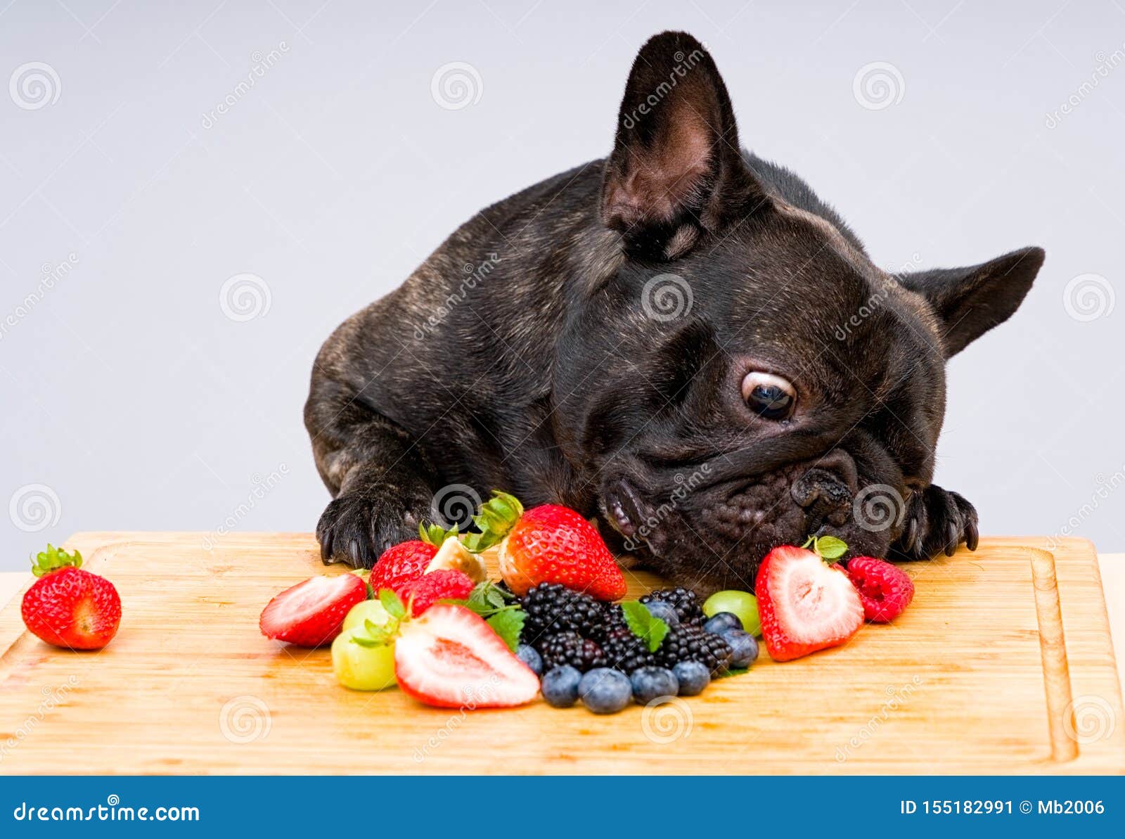 French Bulldog Ready To Eat Fresh Fruits , Vegetables