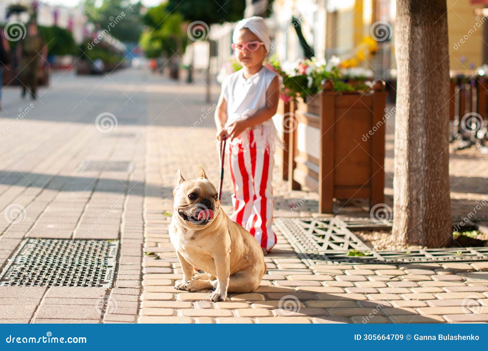 a french bulldog sits on a leash with its little owner