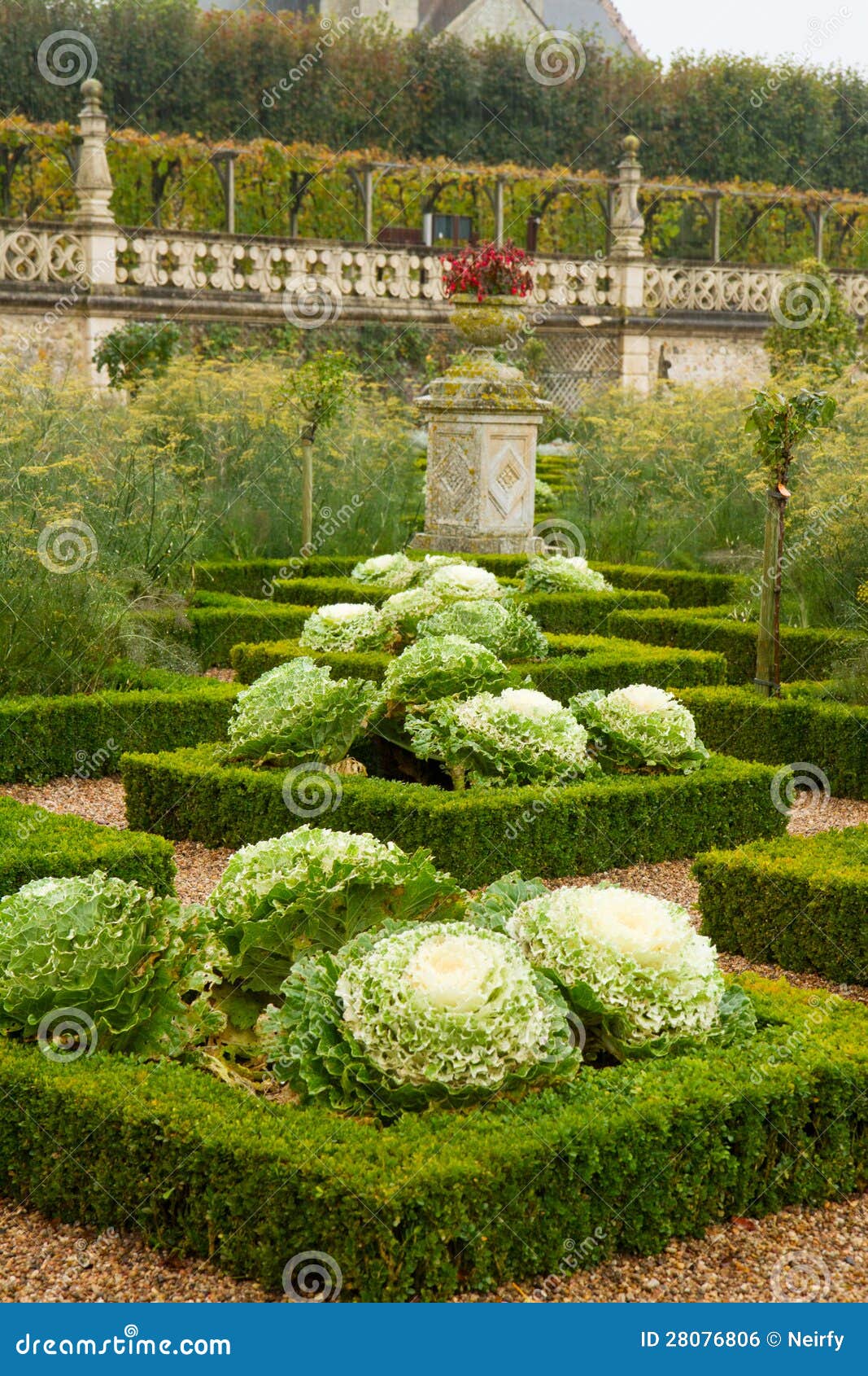 French Classic Vegetable Garden Stock Photo Image of outdoor