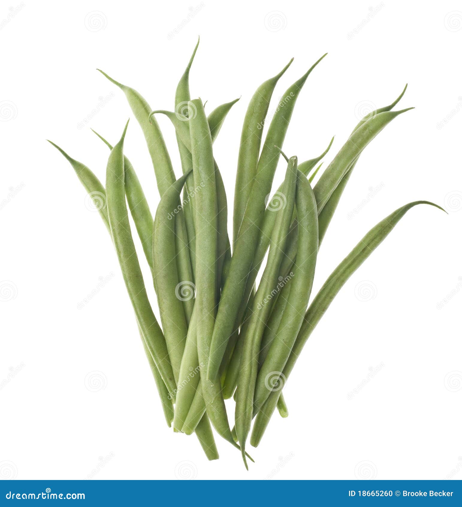 French Cut Green String Beans Stock Photo Image of white, bean 18665260