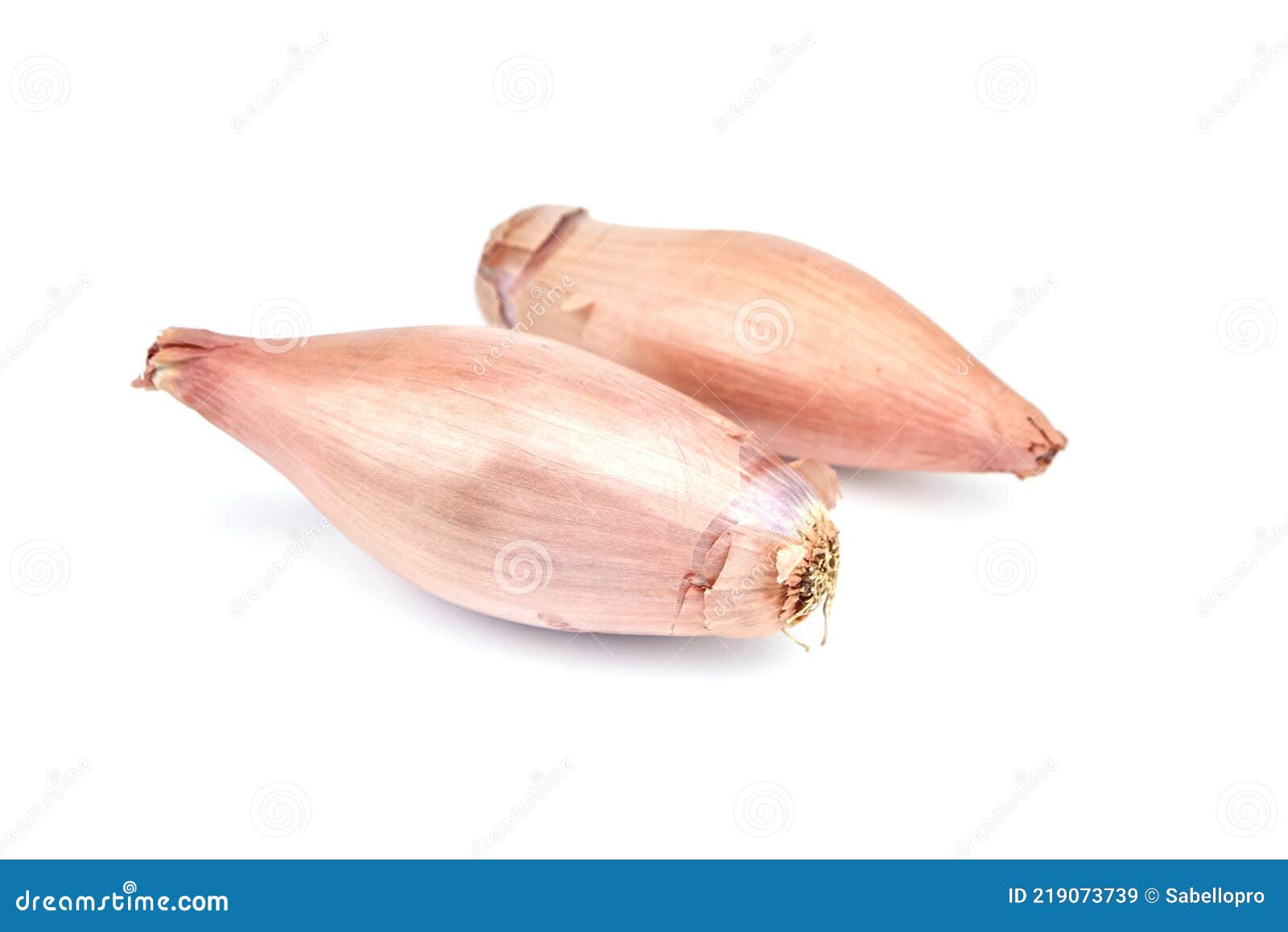 Best Echalion Shallots Royalty-Free Images, Stock Photos & Pictures