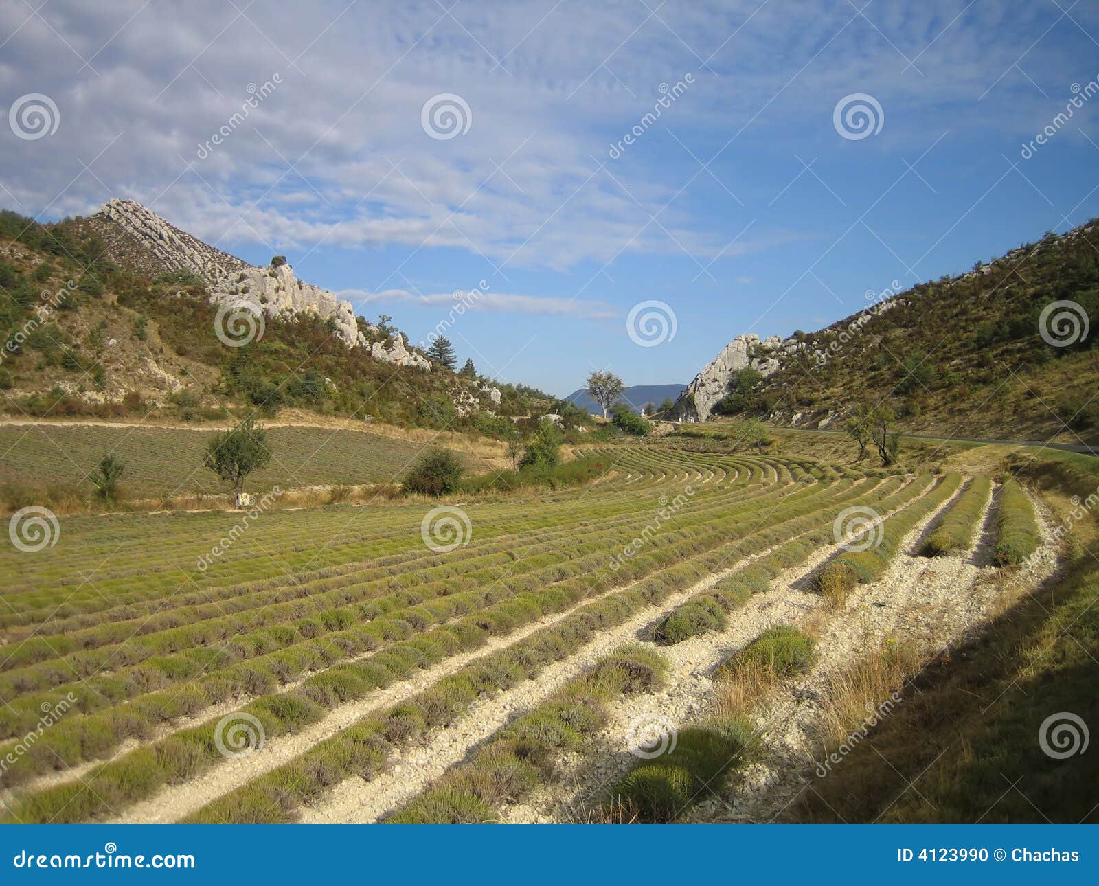 French Farmland stock photo. Image of countryside, azur 4123990