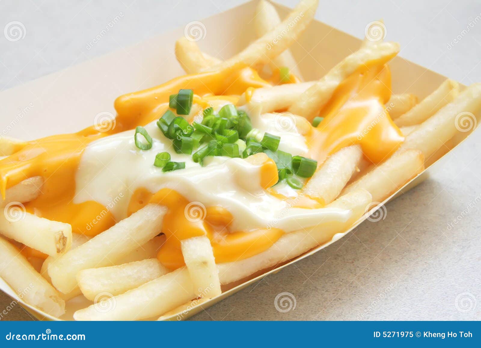 french fries with melted cheese