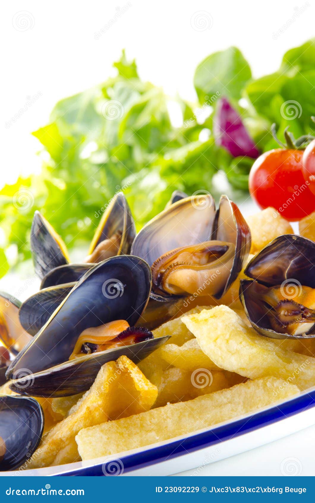 French fries with mussels stock image. Image of greasy 23092229