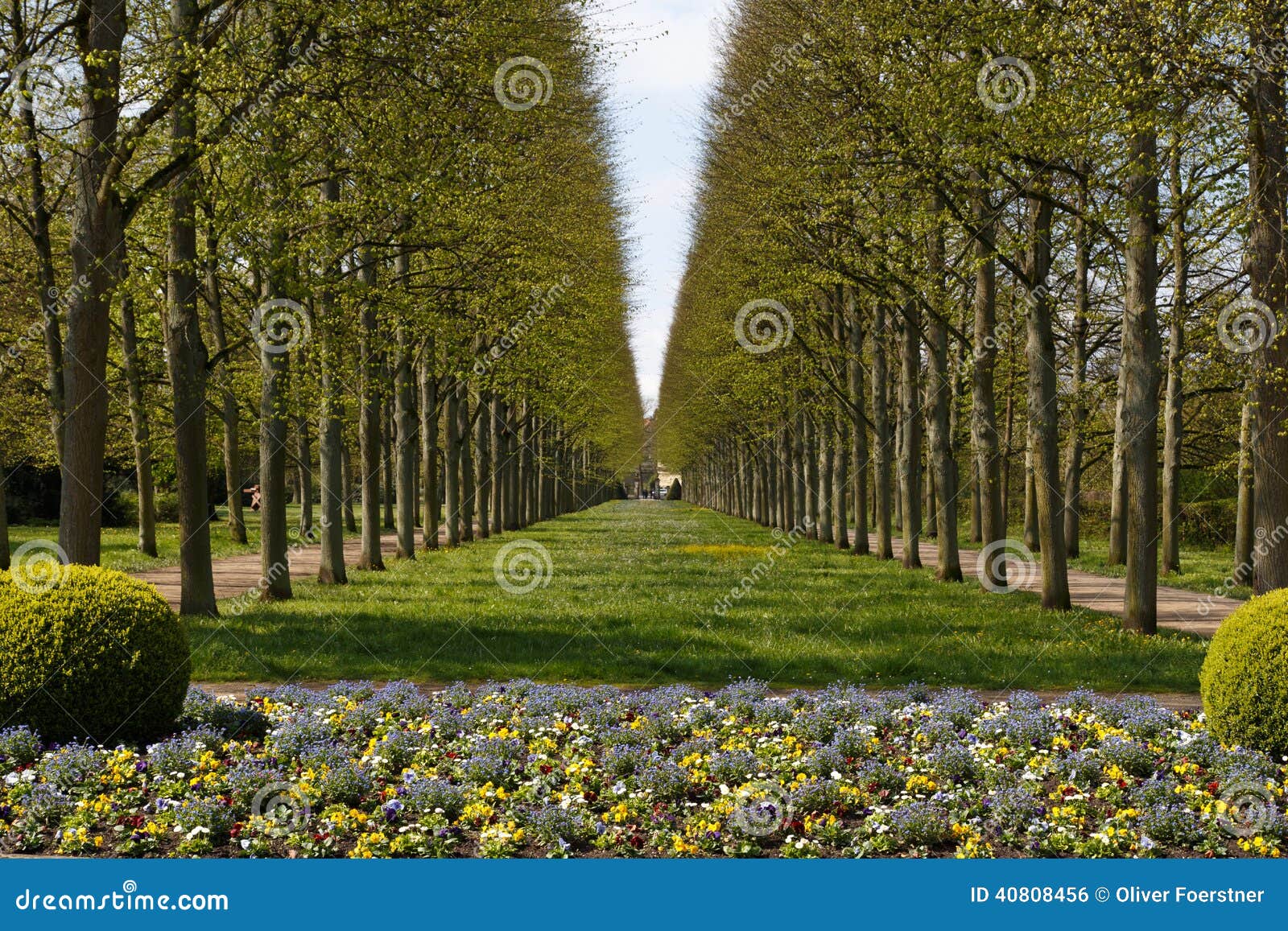 French garden in Celle stock photo. Image of lower, flowers 40808456