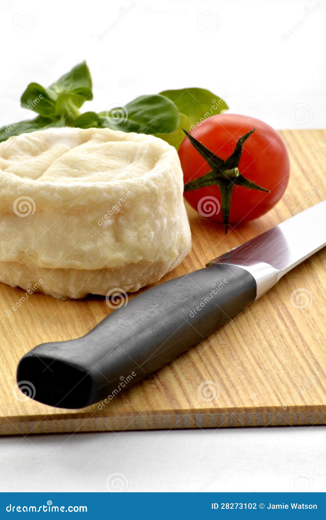 French goats cheese stock photo. Image of soft, goat 28273102