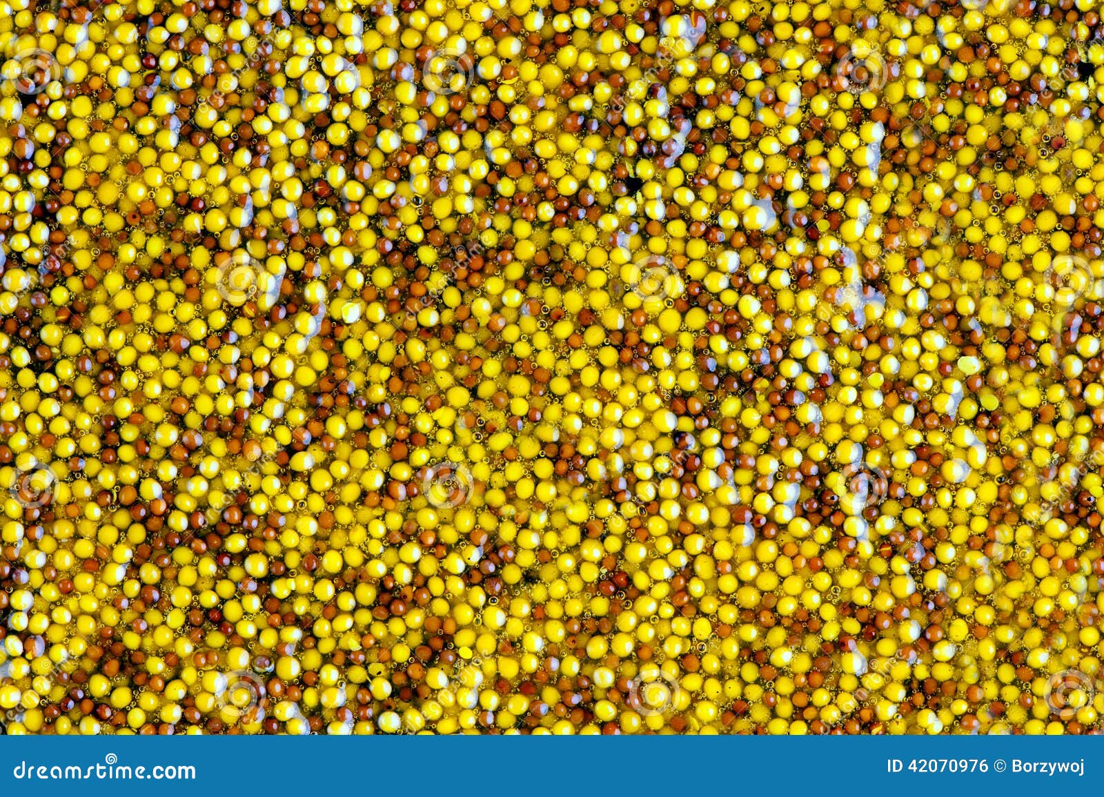 French grain mustard stock photo. Image of close, background 42070976