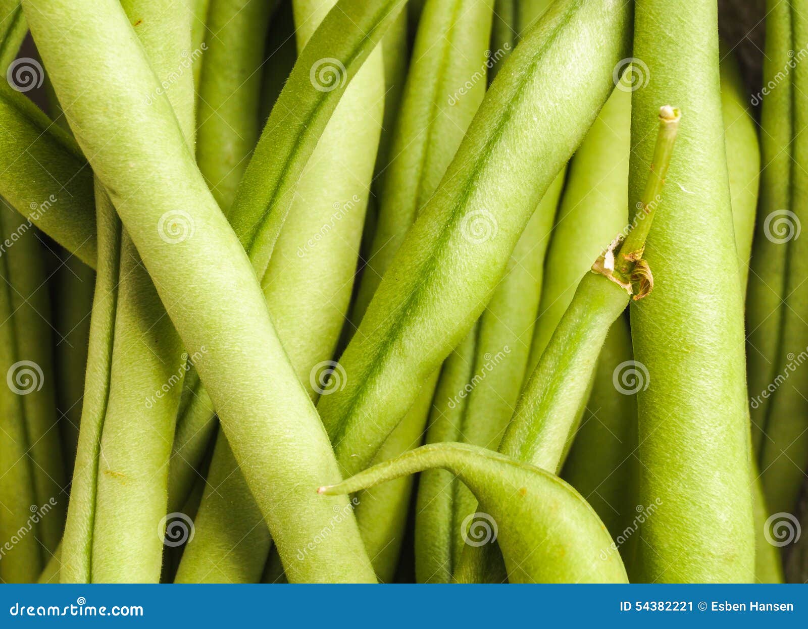 French Green Beans, Haricots Verts Stock Image Image of leaf, french