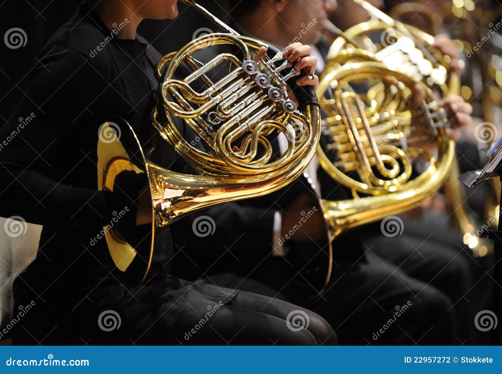 French horn stock photo. Image of classic, concert, music 22957272
