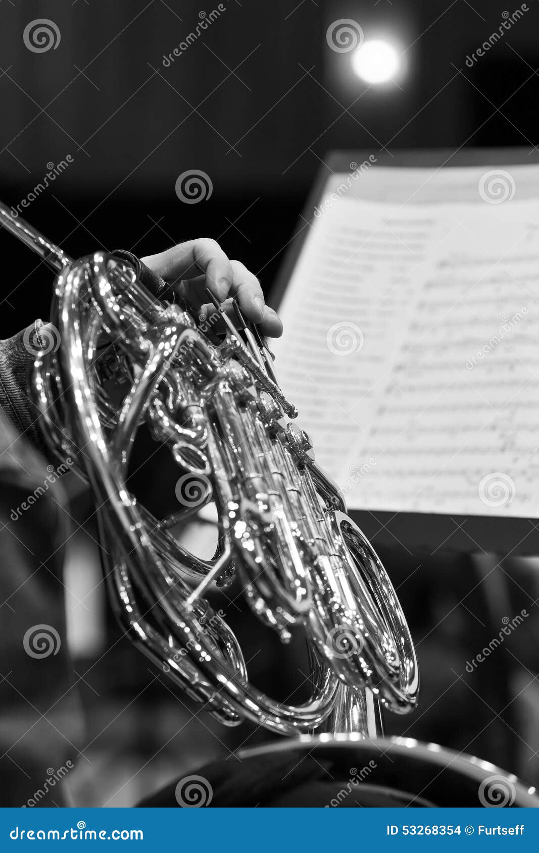 French Horn in the Hands of a Musician Stock Photo Image of pause