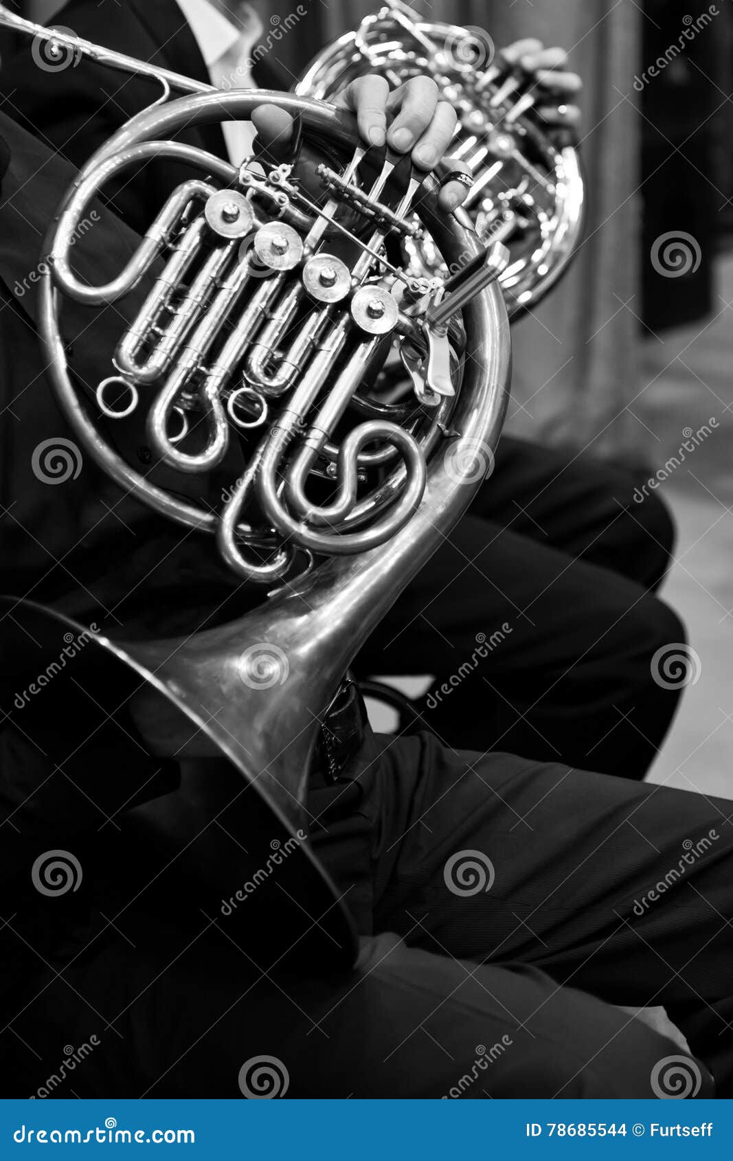 French Horn in the Hands of the Musicians in the Orchestra Stock Photo