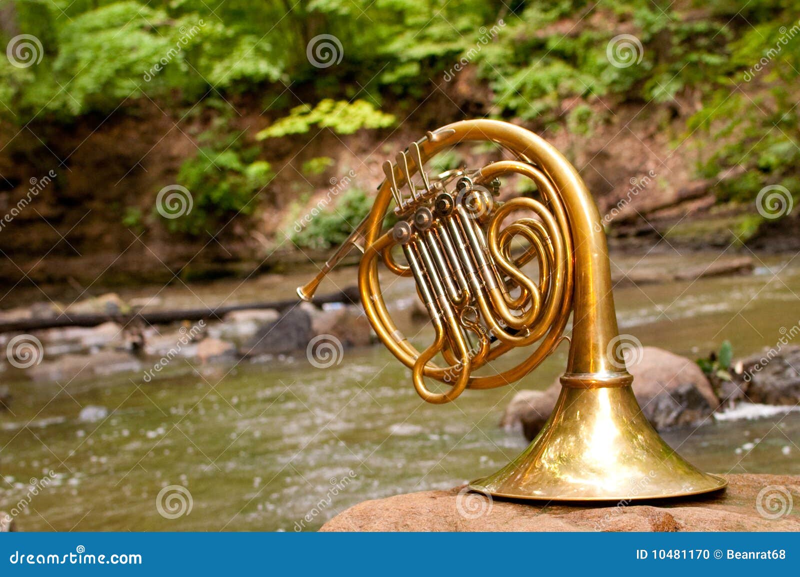 French Horn Instrument stock photo. Image of orchestra 10481170