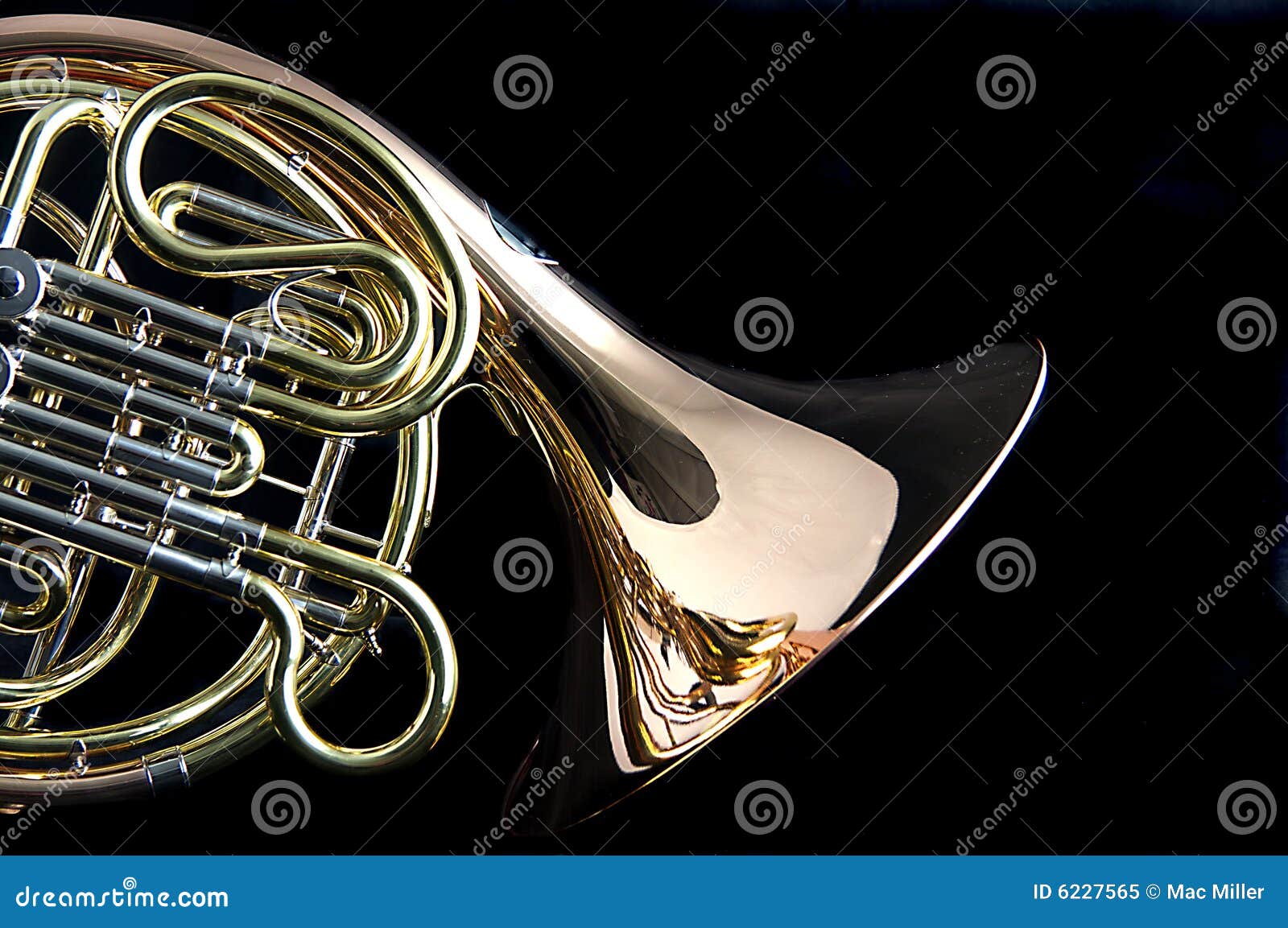 french horn  on back