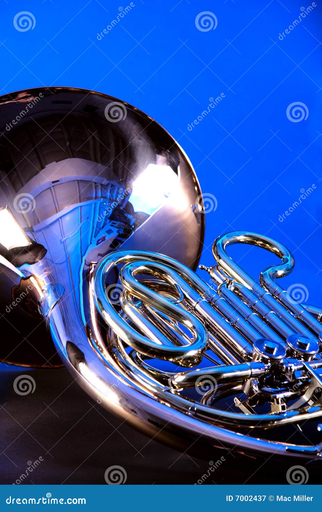 French Horn Isolated on Blue Stock Image Image of gold, background
