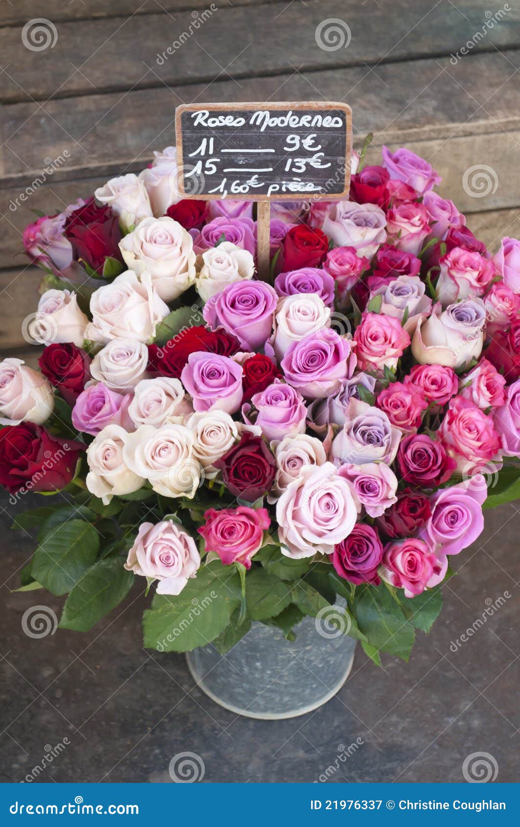 Download French Market Roses In Metal Bucket Stock Image - Image of ...
