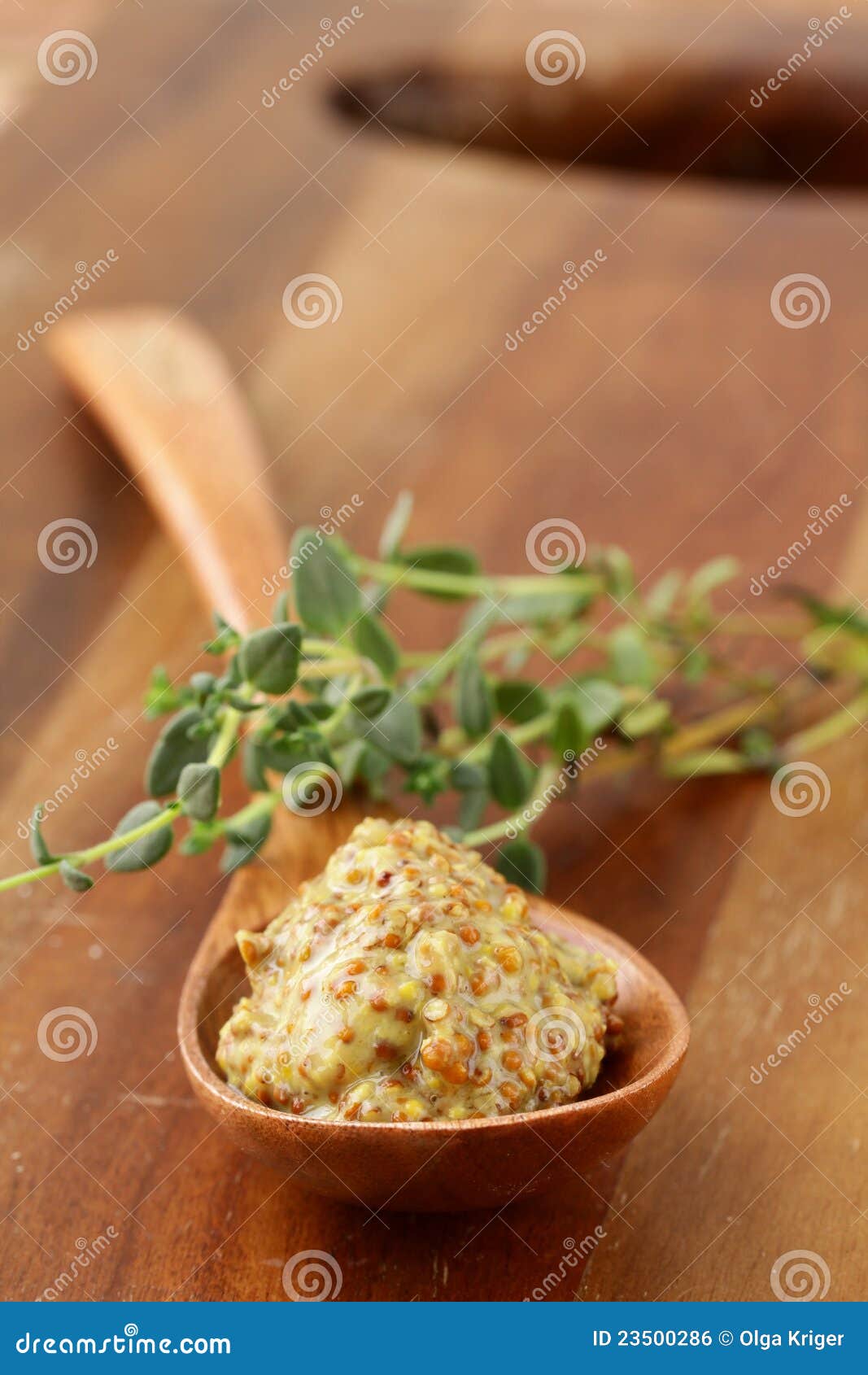 French mustard sauce stock photo. Image of dijonnaise 23500286