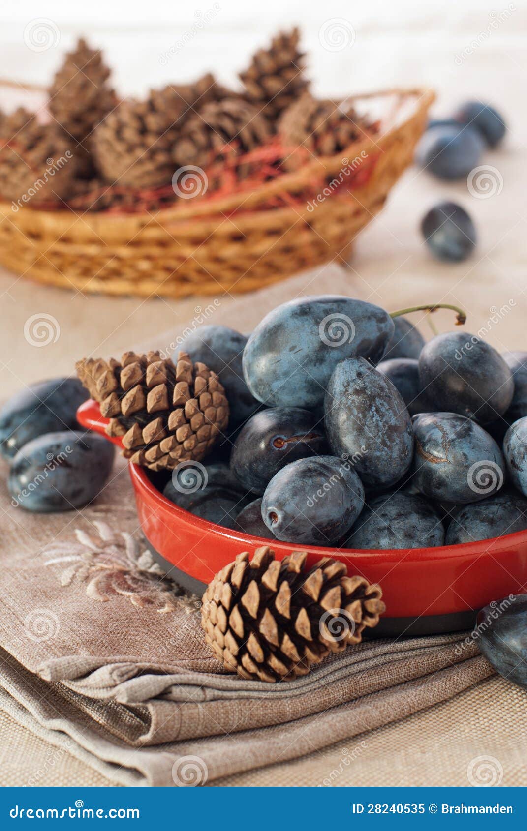 French plum with pinecone stock image. Image of background 28240535