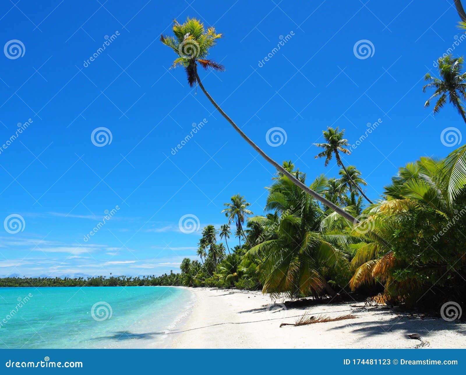 french polynesia - fakarava: lonely beach