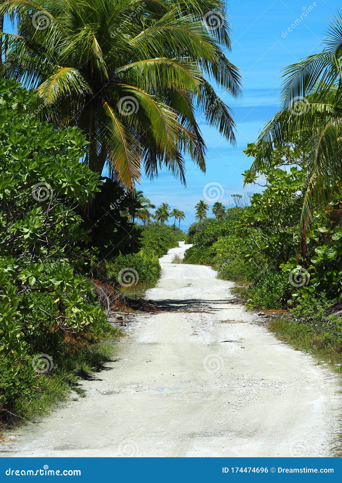 french polynesia - fakarava: lonely street