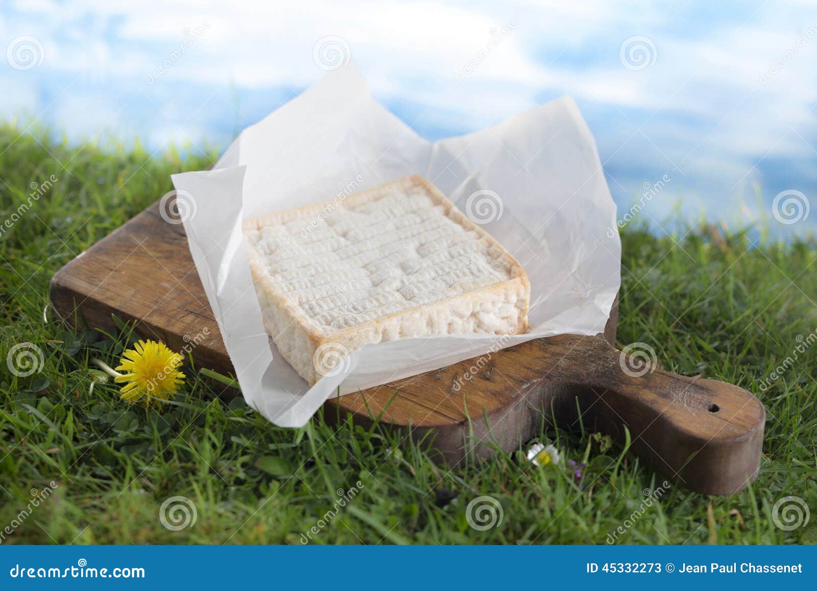 french pont-l'evÃÂ¨que cheese on a wooden board