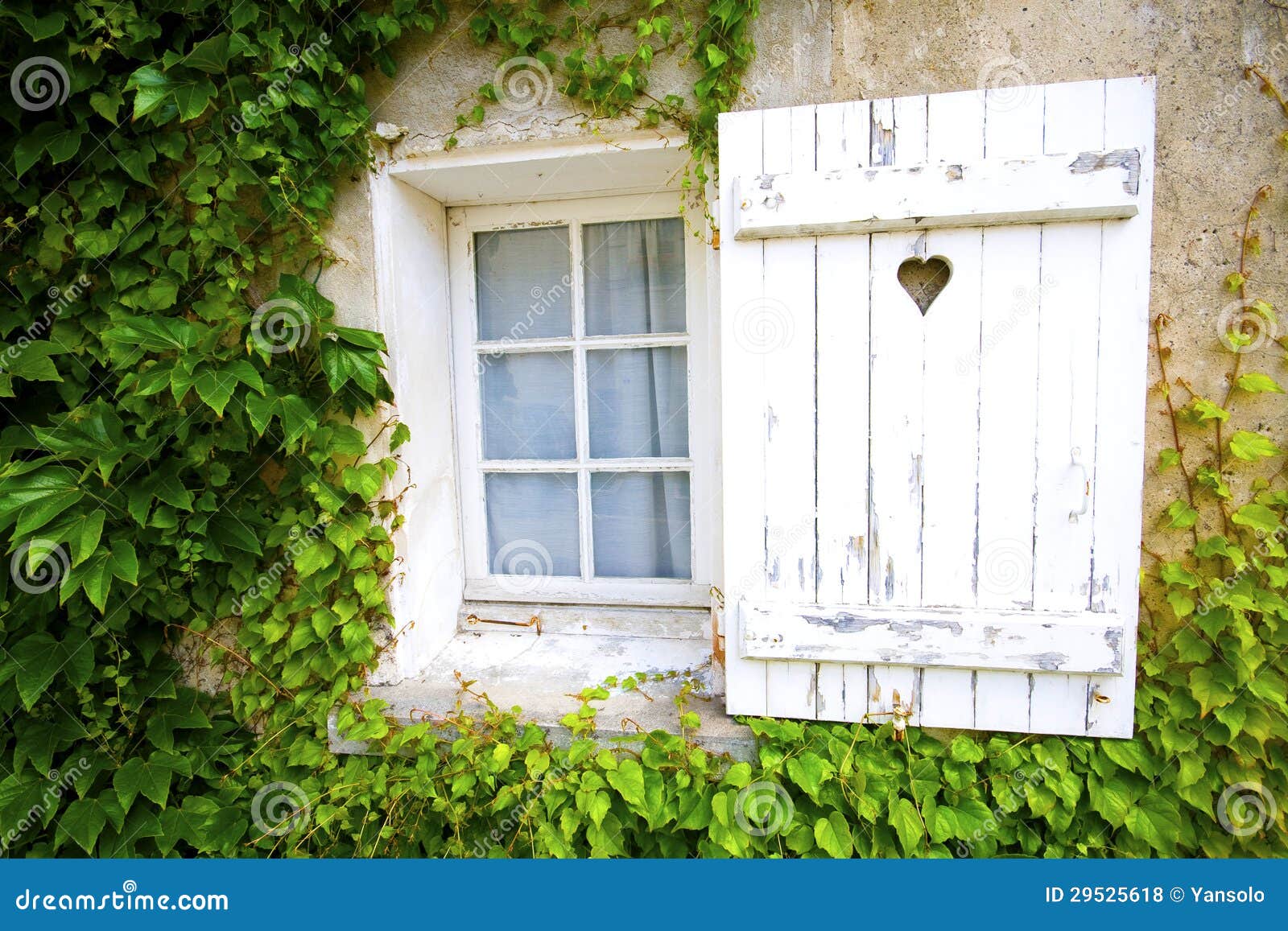 french rustic window
