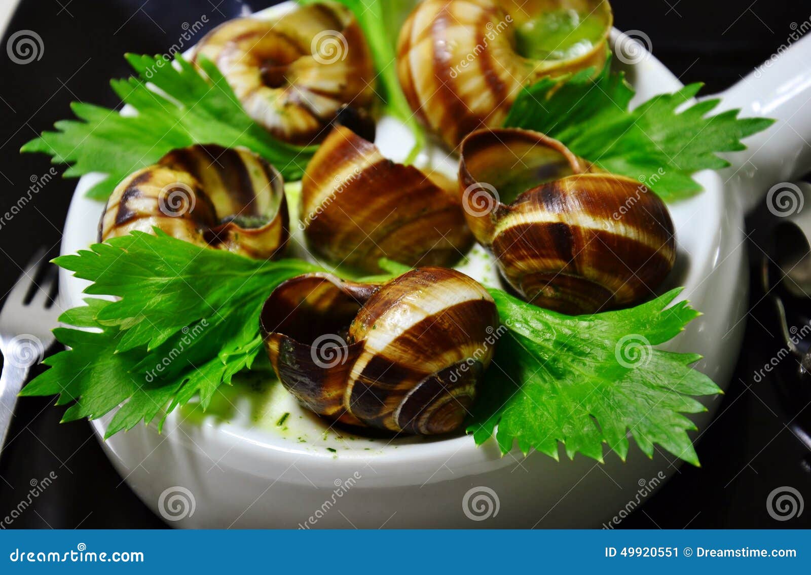 French snails stock image. Image of leafs, meal, garlic 49920551