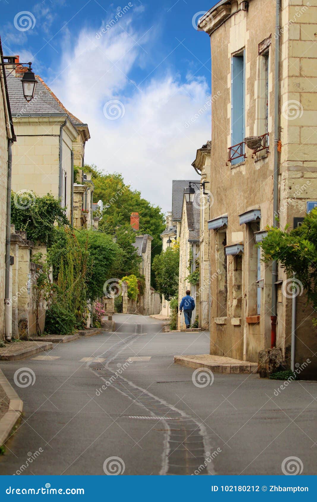 French street editorial photography. Image of flowers - 102180212